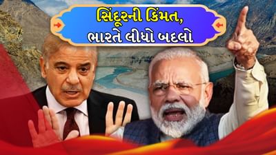 ભારતે 'એક ચપટી સિંદૂર'નો લીધો બદલો, શું પાકિસ્તાનનું અર્થતંત્ર સિંધુ નદીમાં ડૂબશે?