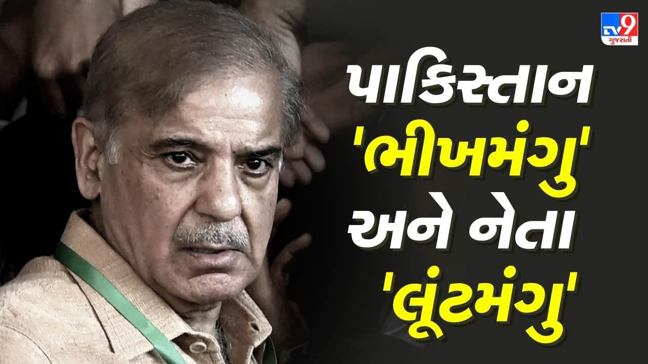 India Pakistan War : ભીખમંગા પાકિસ્તાનના 'PM' પર લાગેલ છે 'આરોપ', જાણીને ચોંકી જશો