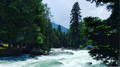 કાશ્મીરી ભાષામાં ‘પહેલગામ’નો અર્થ ભરવાડોની વસાહત થાય છે, જેમાં ‘પહેલ’નો અર્થ છે ઘાસચરાવનારો અને ‘ગામ’નો અર્થ ગામ છે.  (Credits: - Wikipedia)