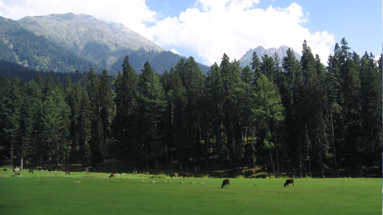 પહેલગામને ભગવાન શિવ સાથે જોડવામાં આવે છે. કહેવાય છે કે જ્યારે ભગવાન શિવ અમરકથા (અમરનાથ યાત્રા) સંભળાવવા માતા પાર્વતીને લઈ જતાં હતા, ત્યારે તેઓ પહેલગામ ખાતે પોતાના નંદીને છોડી ગયા હતા. આ સ્થળથી એમણે બધા સંસારિક સંબંધો છોડી દેવાં શરૂ કર્યા હતા. તેથી પહેલગામને “પ્રથમ ગામ” અથવા “પ્રારંભિક તપોભૂમિ” તરીકે ઓળખવામાં આવે છે. (Credits: - Wikipedia)