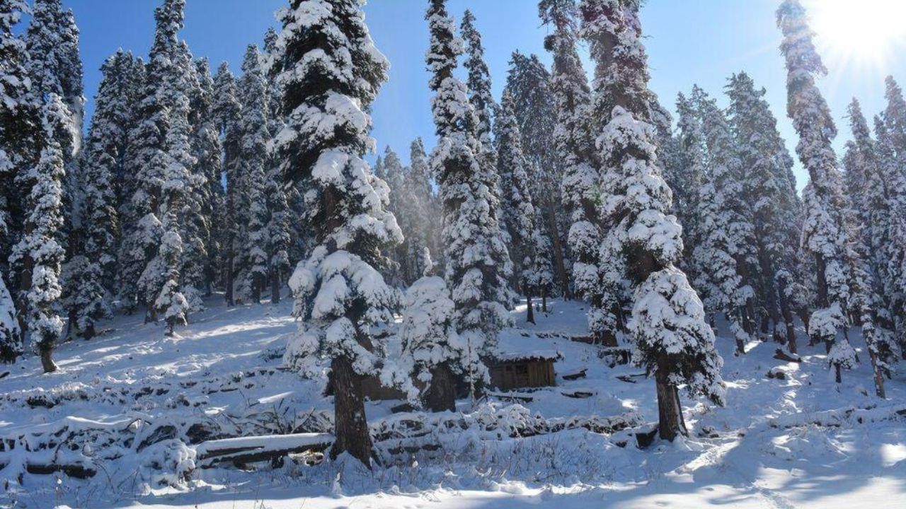 પહેલગામ અમરનાથ યાત્રાનું મુખ્ય આરંભસ્થળ માનવામાં આવે છે. યાત્રાળુઓ અહીંથી ચંદનવાડી, શેષનાગ, પંચતરણીથી આગળ અમરનાથ ગુફા તરફ આગળ વધે છે. (Credits: - Wikipedia)