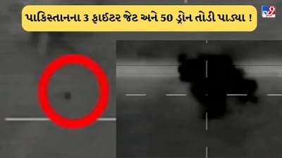 India Pakistan War : ભારતે હરામી પાકિસ્તાનના 3 ફાઈટર જેટ અને 50 ડ્રોન તોડી પાડ્યા, જાણો