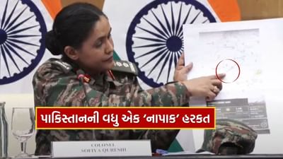 ભારતીય સેનાએ સ્પષ્ટ કર્યું છે કે પાકિસ્તાન હાલ પોતાના એરસ્પેસ પર પેસેન્જર વિમાનો ઉડાવી રહ્યું છે.