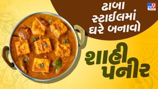 Shahi Paneer Recipe : ઢાબા સ્ટાઈલમાં ઘરે બનાવો શાહી પનીર, એક વાર ખાશો વારંવાર કરશો યાદ