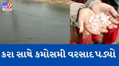 Breaking News: થરાદના ગ્રામ્ય વિસ્તારોમાં કરા સાથે પડ્યો વરસાદ, જુઓ Video