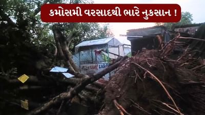 Rain : અરવલ્લી જિલ્લામાં કમોસમી વરસાદને કારણે ભારે નુકસાન, જુઓ Video