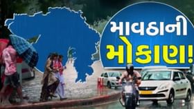 અમરેલીમાં વરસાદથી બાગાયતી પાકને ભારે નુકસાન અમરેલીમાં વરસાદથી બાગાયતી પાકને ભારે નુકસાન
