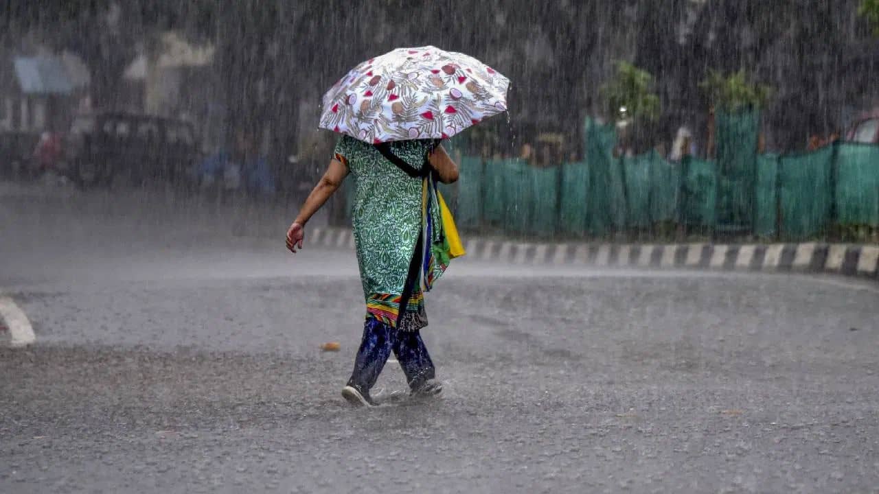 Monsoon 2025: ગુજરાતમાં 29 મે સુધી સાર્વત્રિક વરસાદની આગાહી, અનેક જિલ્લાઓમાં ઓરેન્જ એલર્ટ