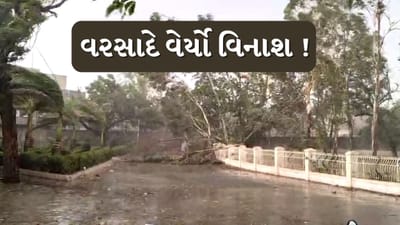 Rain : સુરેન્દ્રનગરમાં કમોસમી વરસાદે વિનાશ વેર્યો, 50થી વધુ સ્થળોએ વીજપોલ ધરાશાયી, જુઓ Video Rain : સુરેન્દ્રનગરમાં કમોસમી વરસાદે વિનાશ વેર્યો, 50થી વધુ સ્થળોએ વીજપોલ ધરાશાયી, જુઓ Video