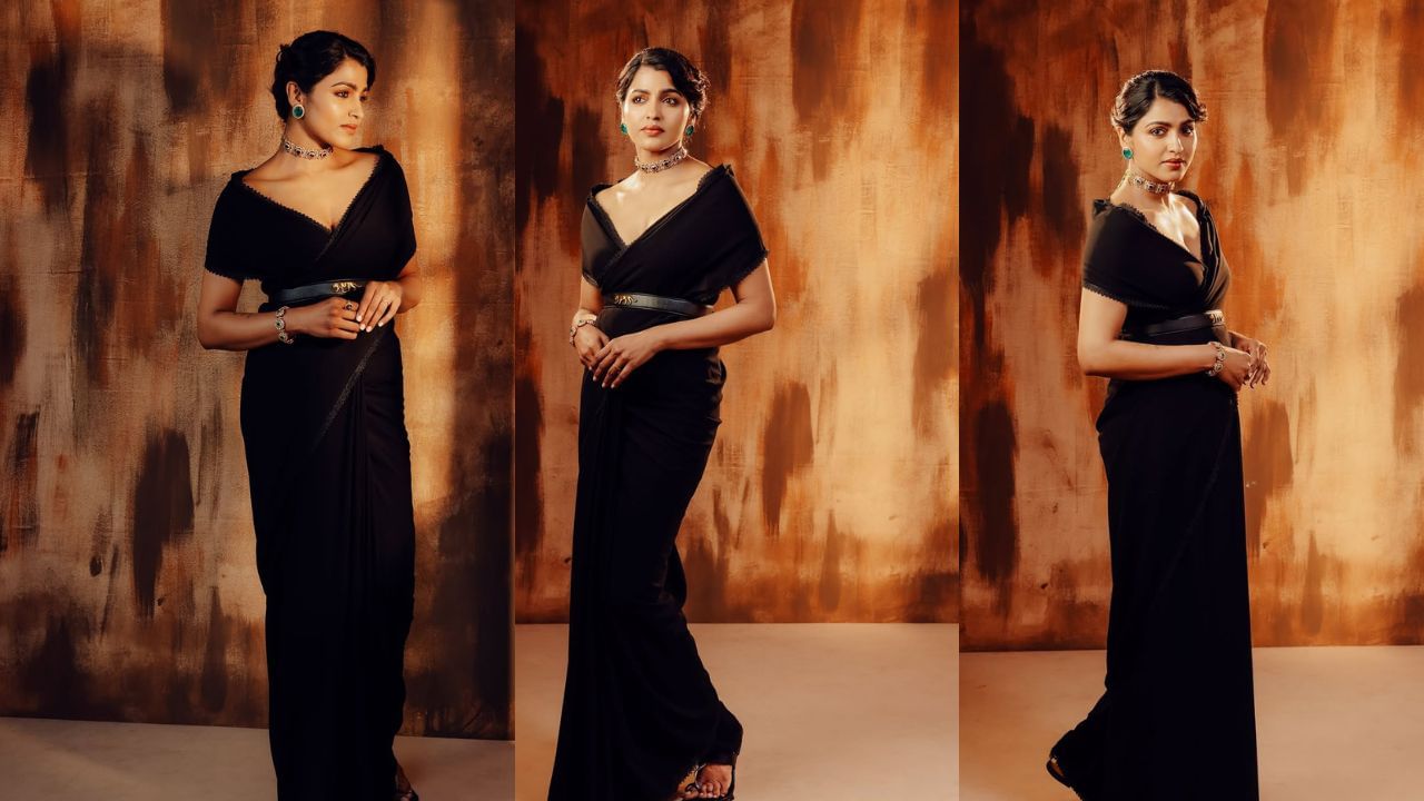 તમિલ સિવાય સાઈ ધનશિકાએ શિકારુ,અંતિયા તીર અને સાઉથ સહિત તેલુગુ ફિલ્મોમાં પણ કામ કર્યું છે.ધનશિકા પોતાની એક્ટિંગથી અનેક એવોર્ડ જીતી ચૂકી છે. ધનશિકા સાઉથના 2 ફિલ્મફેર એવોર્ડ જીતી ચૂકી છે. તેમણે પોતાના અલગ અલગ પાત્રોથી એક મજબુત ઓળખ બનાવી છે.