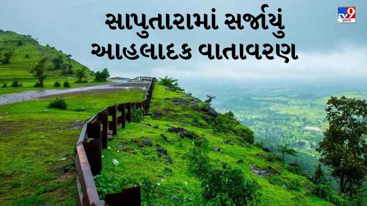 Rain Breaking : ડાંગમાં વરસાદી માહોલ, સાપુતારામાં સર્જાયું આહલાદક વાતાવરણ, જુઓ Video