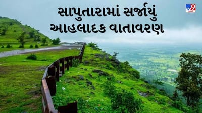 Rain Breaking : ડાંગમાં વરસાદી માહોલ, સાપુતારામાં સર્જાયું આહલાદક વાતાવરણ, જુઓ Video