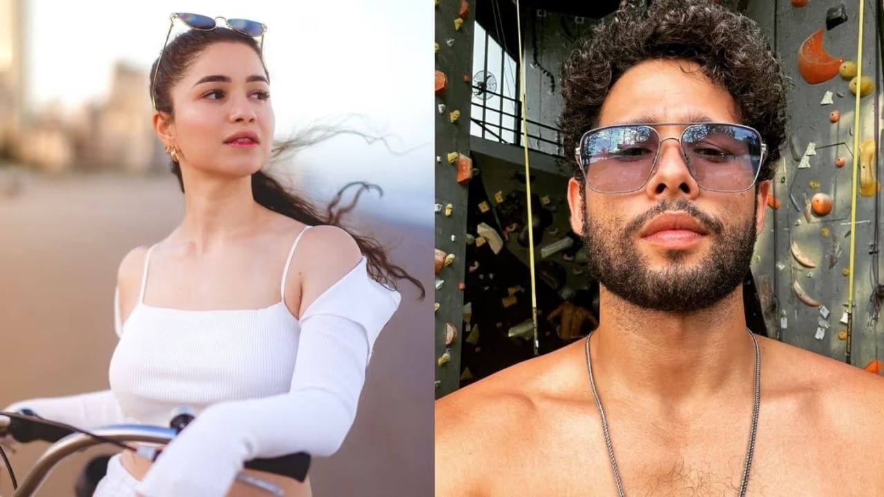 એક ઇન્ટરવ્યૂમાં, સિદ્ધાંતે પોતાના હાર્ટબ્રેક વિશે જણાવ્યું હતું કે, "જ્યારે હું 20 વર્ષનો હતો ત્યારે મને સ્પષ્ટ થયું અને એક મોટો હાર્ટબ્રેક અનુભવ્યો હતો. અમે બંને જીવનમાંથી અલગ અલગ વસ્તુઓ ઇચ્છતા હતા. મને પ્રેમ અને મહત્વાકાંક્ષા વચ્ચે પસંદગી કરવાની સ્થિતિમાં મૂકવામાં આવ્યો હતો અને મેં મહત્વાકાંક્ષા પસંદ કરી."