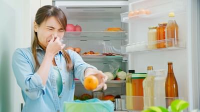 એક સમયે, ફ્રિજની ગણતરી લક્ઝરી વસ્તુઓમાં થતી હતી. પરંતુ આજે તે દરેક ઘરમાં જરૂરી બની ગયું છે. ઠંડા પાણીથી લઈને ખોરાક સુધીની દરેક વસ્તુને બગડતી અટકાવવા માટે ફ્રિજ એકમાત્ર ઉપાય છે. એટલા માટે તેનો સતત ઉપયોગ થાય છે. આવી સ્થિતિમાં જો તમારા ફ્રિજમાંથી ગંદી દુર્ગંધ આવી રહી છે, તો શું કરવું?