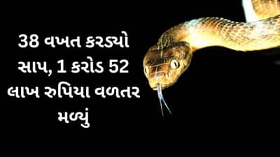 38 વખત કરડ્યો સાપ, મળ્યું 1 કરોડ 52 લાખ રુપિયા વળતર, મધ્યપ્રદેશમાં સામે આવ્યું સાપ કૌભાંડ