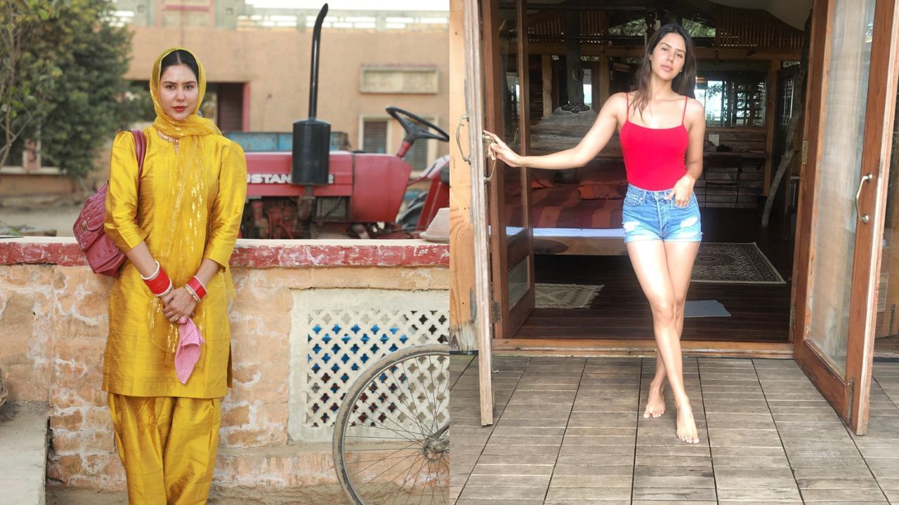 સોનમ બાજવાએ 2013માં ફિલ્મ 'બેસ્ટ ઓફ લક' થી પોતાની અભિનય કારકિર્દીની શરૂઆત કરી હતી. આ ફિલ્મમાં તેણે ગામડાની એક માસૂમ છોકરીની ભૂમિકા ભજવીને બધાનું દિલ જીતી લીધું. આ પછી તેણે દિલજીત દોસાંઝ સાથે1984માં પંજાબમાં કામ કર્યું.