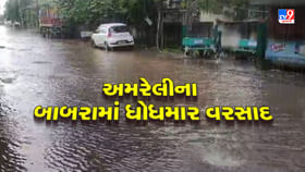 બાબરા પંથકમાં ભારે પવન સાથે ખાબક્યો વરસાદ, 50 જેટલા વીજપોલ ધરાશાયી બાબરા પંથકમાં ભારે પવન સાથે ખાબક્યો વરસાદ, 50 જેટલા વીજપોલ ધરાશાયી