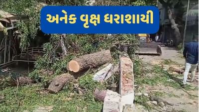 Banaskantha Rain : ઈકબાલગઢ સહિતના વિસ્તારોમાં વરસાદે વેર્યો વિનાશ, વૃક્ષો ધરાશાયી થયા અને અનેક ઘરોના છાપરા ઉડ્યા, જુઓ Video