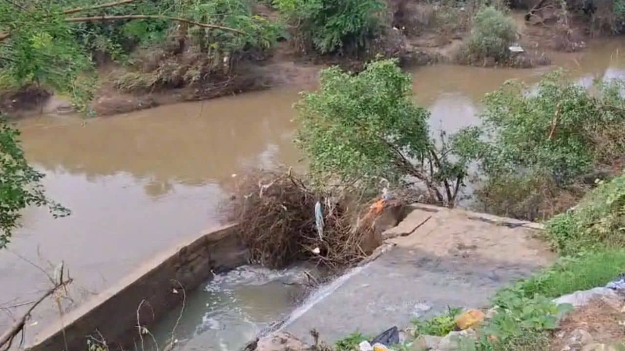 ચોમાસું નજીક આવતા તંત્રમાં ખળભળાટ, વિશ્વામિત્રી પ્રોજેક્ટ સમયસર પૂરું કરવાની દોડધામ – જુઓ Video