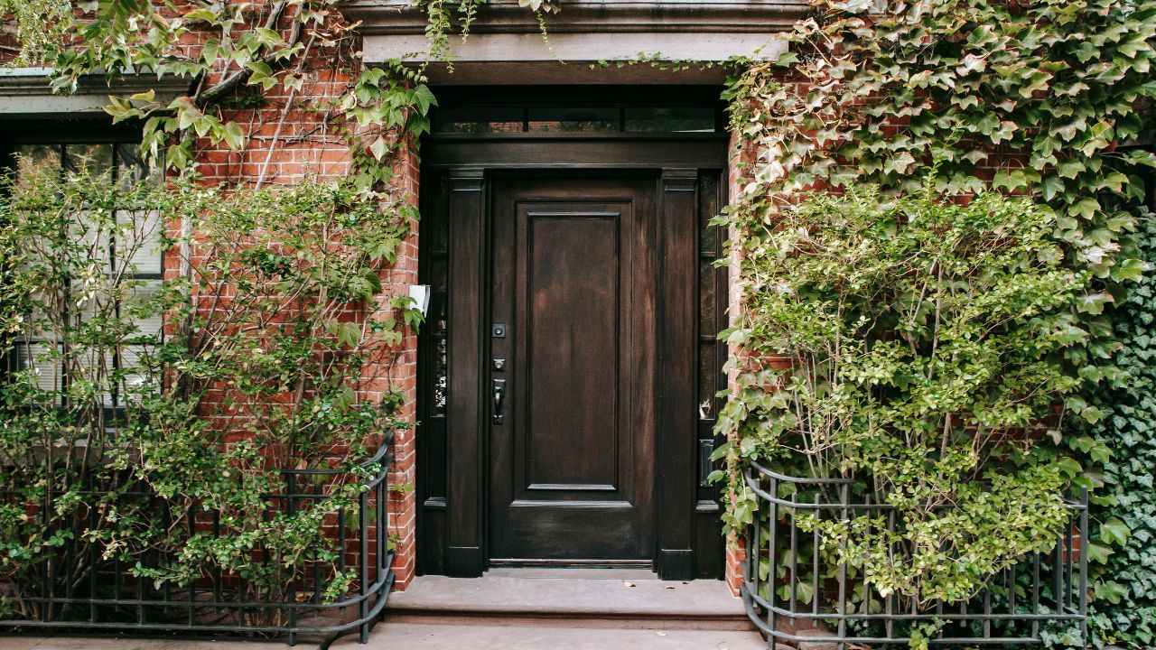 વાસ્તુ અનુસાર, રંગોનો ઉપયોગ ઘરની સુંદરતામાં પણ વધારો કરે છે, જે પર્યાવરણમાં સકારાત્મકતા જાળવી રાખે છે.