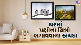 પાંચ પક્ષીઓ જીવનના ઉત્થાન સાથે જોડાયેલા છે પાંચ પક્ષીઓ જીવનના ઉત્થાન સાથે જોડાયેલા છે