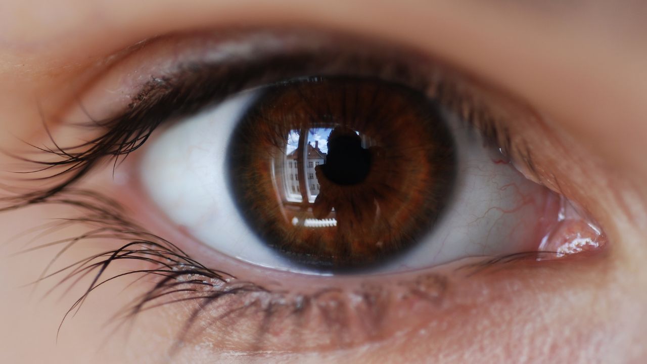 (નોંધ : જો તમારી આંખમાં વારંવાર પાણી આવતું હોય, તો ડૉક્ટરની સલાહ લો.) (All Image - Canva)