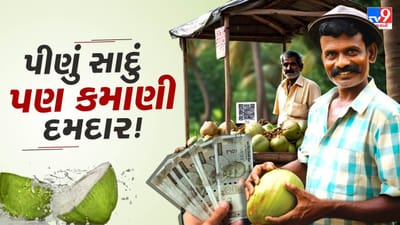 નાળિયેર પાણી અથવા લીંબુ પાણીનો સ્ટોલ એ નાના રોકાણ સાથે શરૂ કરી શકાય એવો એક નફાકારક બિઝનેસ છે. આ બિઝનેસથી તમે ઝડપથી આવક મેળવી શકો છો. 