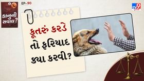 કાનુની સવાલ: કૂતરુ કરડે તો ફરિયાદ ક્યા કરવી, શું કહે છે કોર્ટના નિયમો? કાનુની સવાલ: કૂતરુ કરડે તો ફરિયાદ ક્યા કરવી, શું કહે છે કોર્ટના નિયમો?