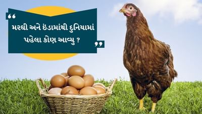 શું પહેલા આવ્યું, ઈંડું કે મરઘી? તમે આ પ્રશ્ન ઘણી વાર સાંભળ્યો હશે. તમને કદાચ હજુ સુધી આ પ્રશ્નનો જવાબ મળ્યો નથી. આ પ્રશ્ન દુનિયાના દરેક વ્યક્તિના મનમાં એક યા બીજા સમયે આવ્યો જ હશે. સંશોધકોને ઘણીવાર આ પ્રશ્નમાં મુશ્કેલી પડે છે. આખરે, તેને જવાબ મળી ગયો.