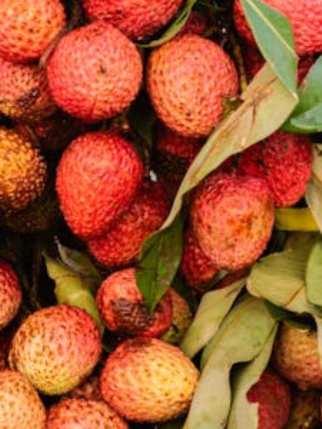 litchi: લીચી કોણે ન ખાવી જોઈએ? litchi: લીચી કોણે ન ખાવી જોઈએ?