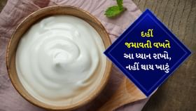 દહીં જમાવતી વખતે આ ધ્યાન રાખો, નહીં થાય ખાટું દહીં જમાવતી વખતે આ ધ્યાન રાખો, નહીં થાય ખાટું