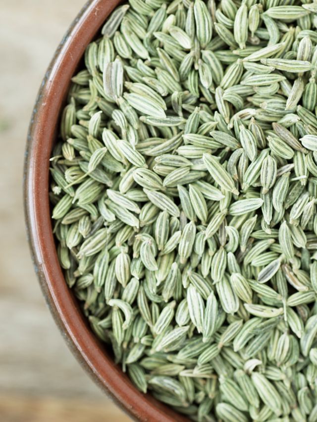Plant In Pot : ઘરે કૂંડામાં ઉગાડો વરિયાળી, આ છે સૌથી સરળ ટીપ્સ Plant In Pot : ઘરે કૂંડામાં ઉગાડો વરિયાળી, આ છે સૌથી સરળ ટીપ્સ