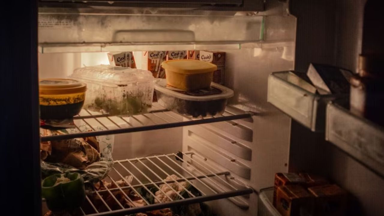 જોકે, ફ્રિજની સફાઈ તમે તેનો કેટલો સારી રીતે ઉપયોગ કરો છો તેના પર પણ આધાર રાખે છે. ઉદાહરણ તરીકે, જો તમે ગંદા હાથથી ફ્રિજ ખોલો છો અને બંધ કરો છો, ખોરાકને ધોયા વિના અને યોગ્ય રીતે પેક કર્યા વિના અંદર રાખો છો, તો તમારે ફ્રિજને સામાન્ય કરતાં વધુ વાર સાફ કરવું પડી શકે છે. જો તમે ફ્રિજમાં સફાઈ રાખો છો તો મહિનામાં 1-2 વાર સફાઈ કરી શકો છો.