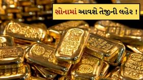 સોનામાં આવશે તેજીની નવી લહેર, 95000 સુધી જઈ શકે છે MCX ગોલ્ડ સોનામાં આવશે તેજીની નવી લહેર, 95000 સુધી જઈ શકે છે MCX ગોલ્ડ
