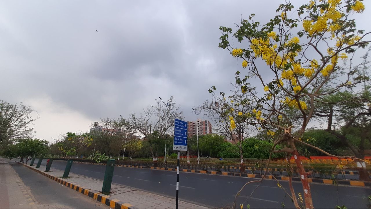 વાતાવરણ એકાએક આહ્લલાદક બનતા સવાર સવારમાં નયનરમ્ય નજારો જોવા મળ્યો હતો.