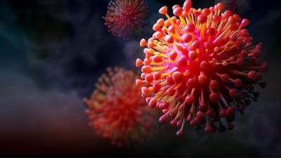 આજની ભાગદોડ ફરી લાઈફમાં મહિલાઓ પોતાના સ્વાસ્થને લઈ હંમેશા નજરઅંદાજ કરે છે. આ કારણે તે ગંભીર બિમારીઓની ઝપેટમાં આવી જાય છે.કેટલીક વખત આ બિમારી જલ્દી સામે પણ આવતી નથી. જ્યારે સામે આવે ત્યારે અંડાશયના કેન્સરના લક્ષણો વધી ગયા હોય છે. એટલા માટે સમયસર ઓળખ ખુબ જરુરી છે.