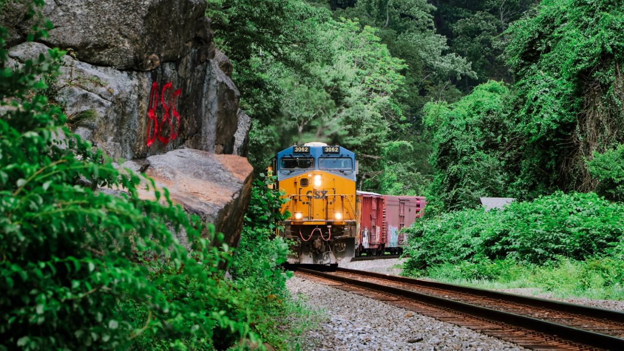 ડીઝલ એન્જિન દ્વારા ચાલી રહેલી ટ્રેનોનું માઈલેજ ઘણી બાબતો પર નિર્ભર હોય છે. ઉદાહરણ તરીકે, જો 12 ડબ્બાવાળી પેસેન્જર ટ્રેન ડીઝલ એન્જિન દ્વારા સંચાલિત થાય, તો તે લગભગ 6 લિટર ડીઝલમાં 1 કિલોમીટરનું અંતર કાપે છે. તે જ રીતે, 24 કોચવાળી એક્સપ્રેસ ટ્રેન પણ લગભગ સમાન પ્રમાણમાં  પ્રતિ કિમી અંદાજે 6 લિટર ડીઝલ વાપરે છે. જ્યારે કોઈ એક્સપ્રેસ ટ્રેન માત્ર 12 ડબ્બાઓ સાથે દોડે છે, ત્યારે તેનું માઈલેજ વધીને પ્રતિ કિલોમીટર અંદાજે 4.5 લિટર સુધી આવી જાય છે. (Credits: - Canva)