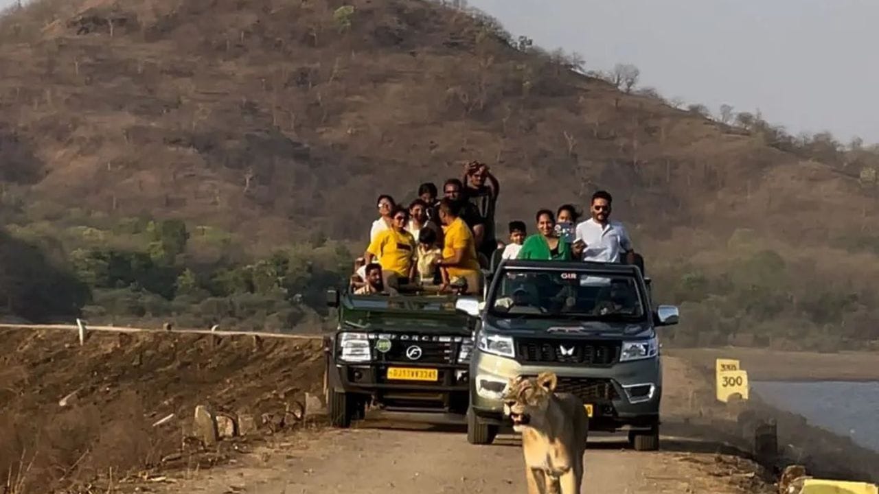 કેમેરા, મોબાઈલની ફ્લેશલાઈટ સંપૂર્ણ બંધ રાખો. જેનાથી જો તમે વાઈલ્ડ એનિમલ્સના ફોટો ક્લિક કરી રહ્યા છો તો તેનું ધ્યાન ન ખેચાય.પૂર્વ ભારતથી પશ્ચિમ ભારત અને ઉત્તર ભારતથી દક્ષિણ ભારત સુધી, ઘણા રાષ્ટ્રીય ઉદ્યાનો અથવા વન્યજીવ અભયારણ્ય છે જ્યાં દરરોજ હજારો સ્થાનિક અને વિદેશી પ્રવાસીઓ મુલાકાત લેવા આવે છે.