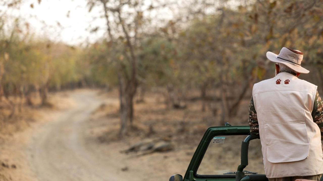 તમે જંગલ સફારીમાં જઈ રહ્યા છો તો અહી તમને રસ્તા વિશે પણ વધારે ખ્યાલ હશે નહી. એટલા માટે તમારી સાથે રહેલા ગાઈડની વાતોનું હંમેશા પાલન કરો.