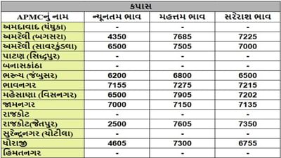 કપાસના તા.09-05-2025ના રોજ APMCના ભાવ રૂ.2500 થી 7905 રહ્યા.