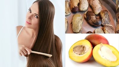 Mango Seeds: કેરી ખાઈ ગોટલી ફેંકી ના દેતા ! વાળ વધારવા અને મજબૂત બનાવવાનો છે રામબાણ ઈલાજ