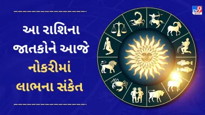 31 May 2025 રાશિફળ વીડિયો : આ 4 રાશિના જાતકોને આજે નોકરીમાં લાભના સંકેત મળશે