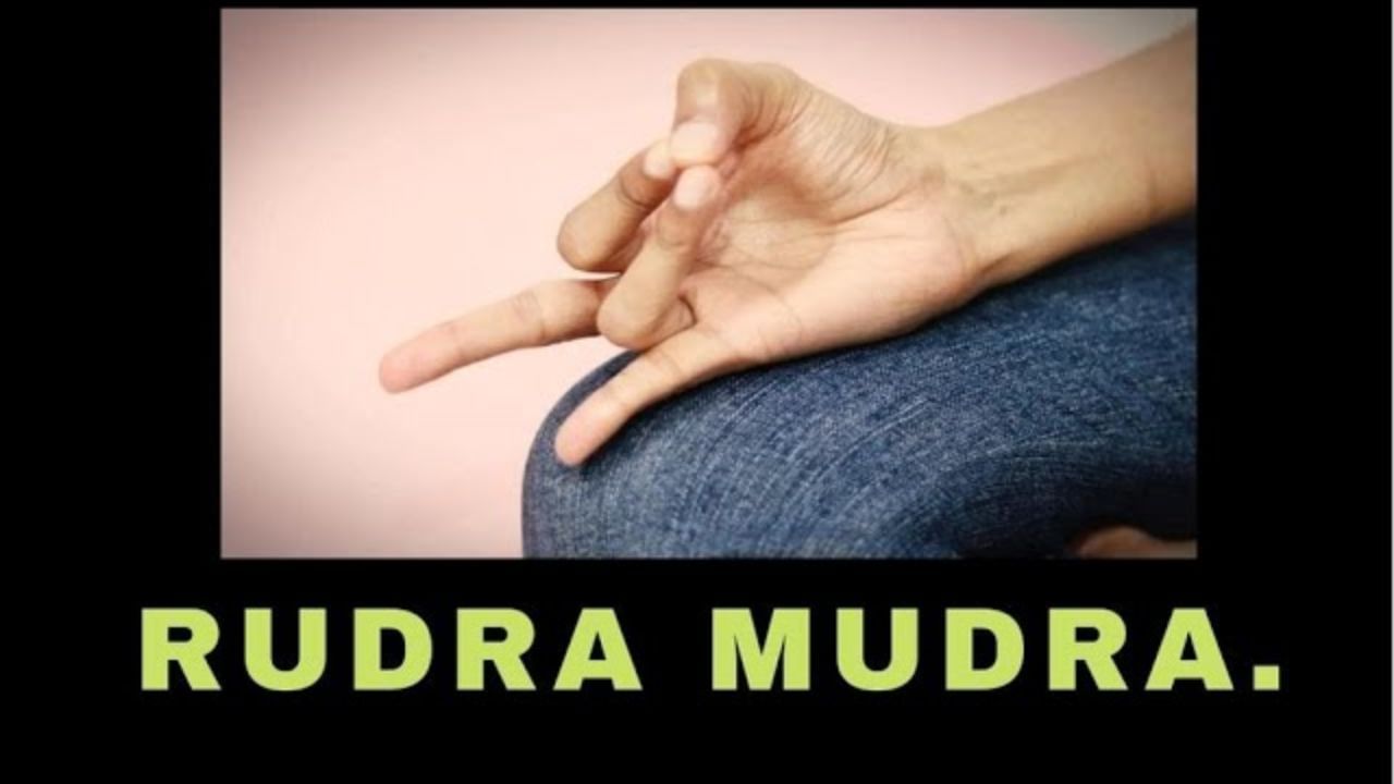 રુદ્ર મુદ્રા: તમારી પીઠ સીધી રાખો અને સુખાસનની મુદ્રામાં બેસો. પછી આંખો બંધ કરો અને સામાન્ય રીતે શ્વાસ લો. બંને હાથની પહેલી અને ત્રીજી આંગળીઓના છેડા એકસાથે લાવો.
તમારી મધ્યમ આંગળી અને નાની આંગળી સીધી રાખો અને તેમને બહારની તરફ ફેલાવો. બંને હથેળીઓનો પાછળનો ભાગ ઘૂંટણ પર રાખો. રુદ્ર મુદ્રા જમ્યાના એક કલાક પછી કરી શકાય છે. જો સવારે કરવામાં આવે તો આ મુદ્રા વધુ ફાયદાકારક માનવામાં આવે છે. રુદ્ર મુદ્રાના ફાયદા: પાચનતંત્ર સુધરે છે. શરીરમાં ઉર્જા વધે છે. આળસ અને સુસ્તી દૂર થાય છે. તે સ્ટ્રેસ દૂર કરવામાં મદદ કરે છે.
