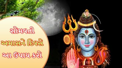 સોમવતી અમાસ પર આ સરળ ઉપાયો કરો, દરેક પગલે પ્રગતિના માર્ગ ખુલશે, મળશે નાણાકીય લાભ!