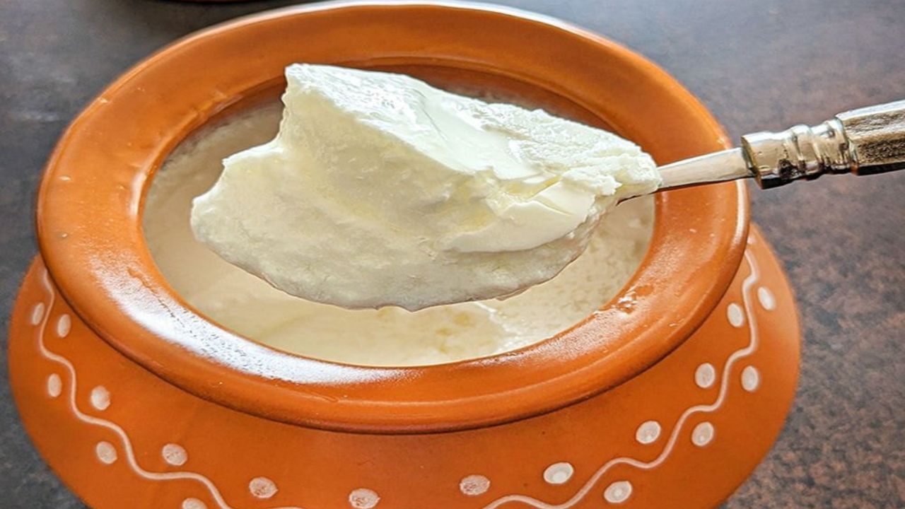 દહીં સેટ થવાનો સમય ઓછો રાખો: ઠંડીની સરખામણીમાં ઉનાળામાં દહીં ફક્ત 4 થી 5 કલાકમાં સેટ થઈ જાય છે, જ્યારે શિયાળામાં 7 થી 8 કલાક કે તેથી વધુ સમય લાગી શકે છે. જો તમે તેને લાંબા સમય સુધી બહાર રાખશો તો તે વધુ ખાટું થઈ જશે. તેથી ઉનાળામાં દહીંને 4 થી 5 કલાક પછી જ ફ્રિજમાં મૂકો જેથી તે વધુ ખાટું ન થાય.
