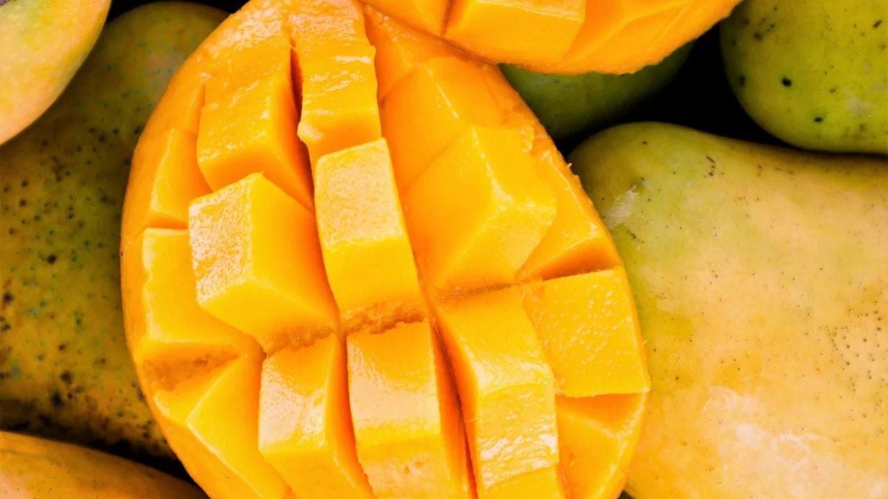 કેરીના રંગથી ક્યારેય છેતરાઈ ન જાવ. ઘણી વખત કેરીઓને રસાયણોનો ઉપયોગ કરીને પાકાવવામાં આવે છે. આવી કેરી અંદરથી કાચી હોય છે પણ બહારથી સંપૂર્ણપણે પીળી હોય છે. મોટાભાગના લોકો તેમને પાકેલા સમજીને લે છે, પણ તે ખાટી નીકળે છે. કેરીને સૂંઘો અને જુઓ કે તેમાં કોઈ કેમિકલની ગંધ છે કે નહીં. તે સખત છે કે નરમ છે તે જાણવા માટે તેને સ્પર્શ પણ કરો. ક્યારેક કેરી બહારથી લીલી હોય છે અને અંદરથી મીઠી હોય છે. તેથી કેરી ખરીદતી વખતે તમારી સ્પર્શ અને ગંધની શક્તિનો ઉપયોગ કરો.
