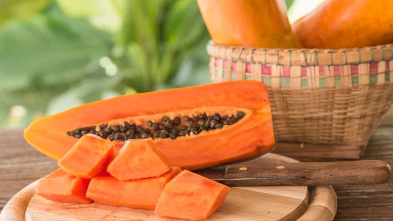 Benefits of papaya: પપૈયામાં વિટામિન સી, વિટામિન એ, ફાઇબર અને ફોલેટ ભરપૂર માત્રામાં હોય છે. પપૈયામાં પપેન જેવા ઘણા પ્રકારના ઉત્સેચકો હોય છે જે પાચન માટે જરૂરી માનવામાં આવે છે. પપૈયામાં રહેલું વિટામિન સી રોગપ્રતિકારક શક્તિ વધારવામાં મદદ કરે છે. તે જ સમયે, તેમાં રહેલું વિટામિન એ આંખો અને ત્વચા માટે ખૂબ જ ફાયદાકારક સાબિત થાય છે. એકંદર શરીરની સાથે, પપૈયા ત્વચા માટે પણ ખૂબ ફાયદાકારક માનવામાં આવે છે.
