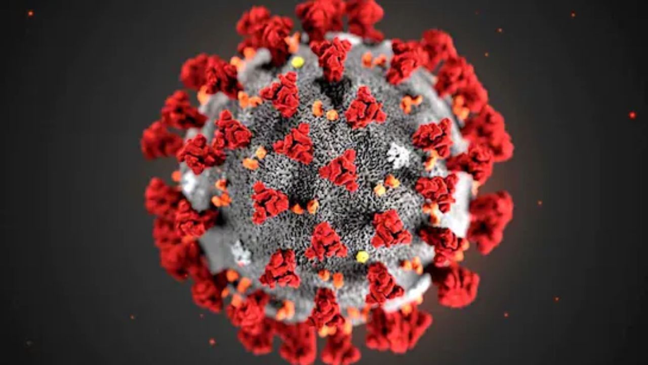 COVID-19 Cases In India:ભારતમાં કોરોના વાયરસ (કોવિડ-19) ના સક્રિય કેસોની સંખ્યા વધીને  4,800 થી વધુ થઈ ગઈ છે. આમાં કેરળ સૌથી વધુ અસરગ્રસ્ત રાજ્ય રહ્યું છે. આરોગ્ય મંત્રાલયના ડેટા અનુસાર, કેરળ પછી, મહારાષ્ટ્ર, ગુજરાત, પશ્ચિમ બંગાળ અને દિલ્હી કોવિડ-19 થી સૌથી વધુ પ્રભાવિત રાજ્યોમાં સામેલ છે. છેલ્લા 24 કલાકમાં દેશમાં 564 નવા કેસ નોંધાયા બાદ સક્રિય દર્દીઓની સંખ્યા વધીને 4,866 થઈ ગઈ છે. આ સમયગાળા દરમિયાન, ચેપને કારણે સાત દર્દીઓના મોત થયા છે. આ વર્ષે જાન્યુઆરીથી અત્યાર સુધીમાં દેશમાં કોવિડ-19 ને કારણે 51 લોકો મૃત્યુ પામ્યા છે.