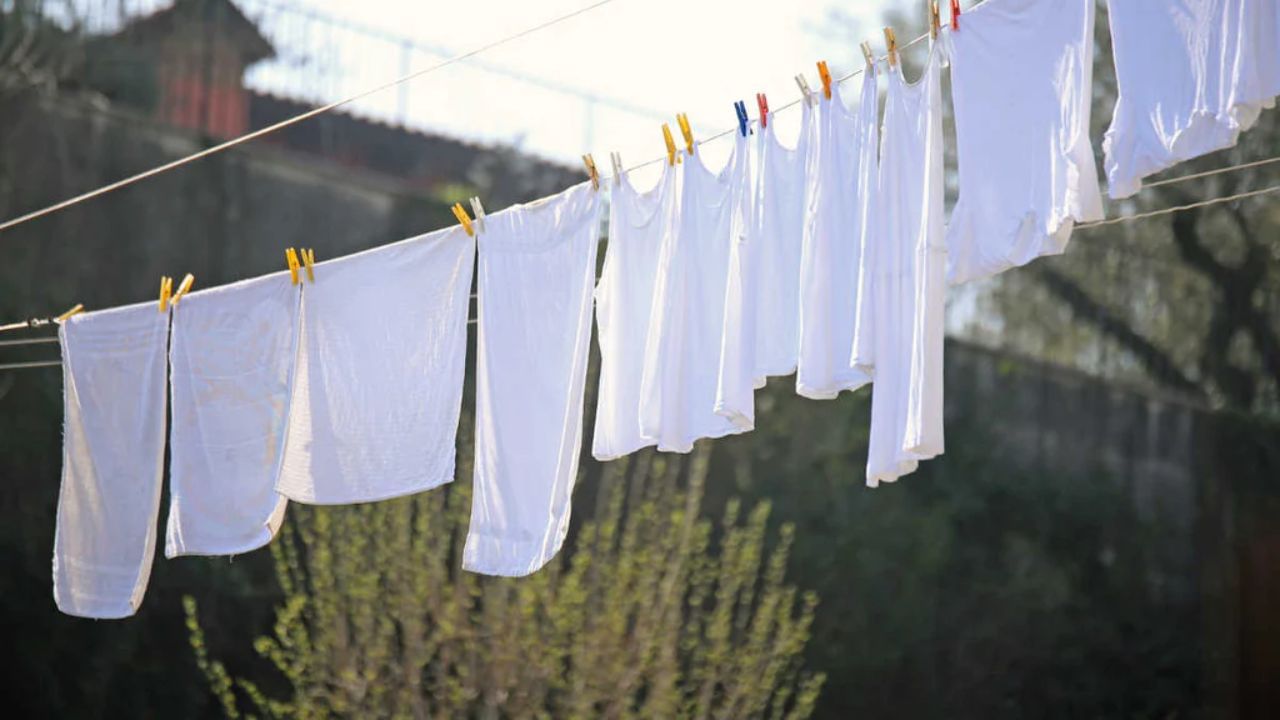 thespruce વેબસાઇટ સાથે વાત કરતી વખતે, લોન્ડ્રી નિષ્ણાત ટોમ સેકોનીએ જણાવ્યું હતું કે કપડાંમાંથી ગંધ દૂર કરવાનો સૌથી સરળ રસ્તો એ છે કે તેમને તેજસ્વી સૂર્યપ્રકાશમાં લટકાવી દો. સૂર્યના યુવી કિરણો કુદરતી જંતુનાશક તરીકે કાર્ય કરે છે, જે કપડાંમાં હાજર ગંધ પેદા કરતા બેક્ટેરિયાને મારી નાખે છે. ઉપરાંત, બહારની તાજી હવા કપડાંમાં તાજગી લાવે છે. જો કે, આ પદ્ધતિ બધા પ્રકારના કપડાં માટે યોગ્ય નથી. રેશમ, ઊન જેવા નાજુક કાપડ પર તીવ્ર સૂર્યપ્રકાશનો સીધો સંપર્ક તેમના રંગને આછો કરી શકે છે. તેથી, આવા કપડાંને હળવા સૂર્યપ્રકાશ અથવા છાંયડામાં સૂકવવા વધુ સારું રહેશે. આ પદ્ધતિ બાકીના કપાસ અને કૃત્રિમ કાપડ માટે એકદમ યોગ્ય છે.