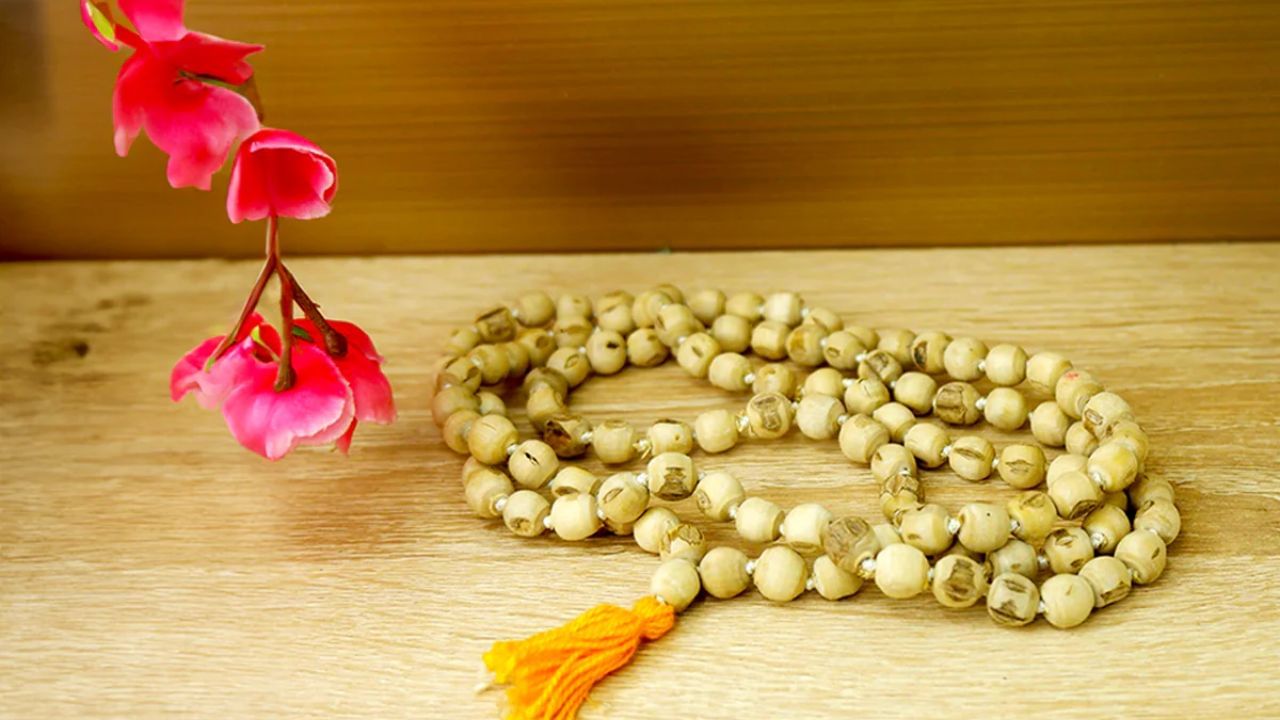 ભગવાન જગન્નાથ ભગવાન વિષ્ણુનું સ્વરૂપ છે અને તુલસી તેમને ખૂબ જ પ્રિય છે. રથયાત્રાથી પાછા ફરતી વખતે તુલસી માળા લાવવી પણ ખૂબ જ શુભ માનવામાં આવે છે. તેને ઘરમાં રાખવાથી નકારાત્મક ઉર્જા દૂર થાય છે અને વાતાવરણ શુદ્ધ અને સકારાત્મક રહે છે. આ પવિત્ર વસ્તુઓ ઘરે લાવવાથી ભગવાન જગન્નાથના આશીર્વાદ મળે છે, જેનાથી જીવનમાં ધન, ખ્યાતિ અને સુખ મળે છે. આ બધું ભક્તિ અને શ્રદ્ધાનું પરિણામ છે.